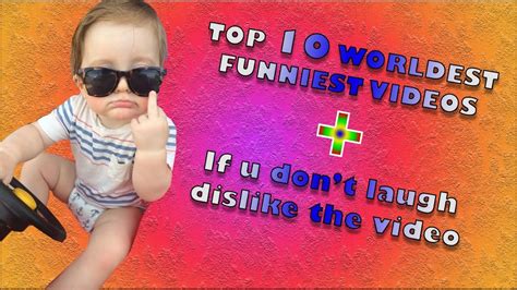 funny video clips on youtube|top 10 most funniest videos.